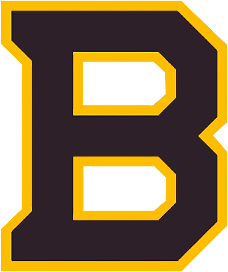 Boston Bruins 2019 Special Event Logo iron on transfers for clothing